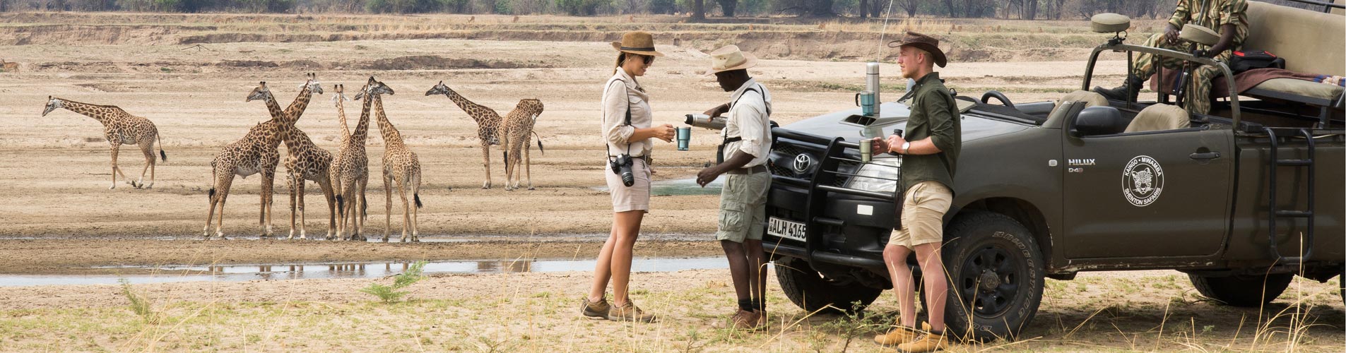 Tea With Giraffes on Zambia Safari